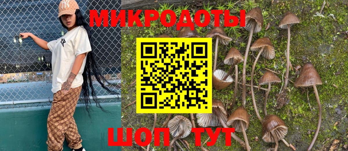 Галлюциногенные грибы Psilocybe  Вход с VPN  Южноуральск 
